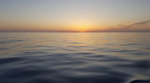 Presentacion Rocio Guijarro Tormo